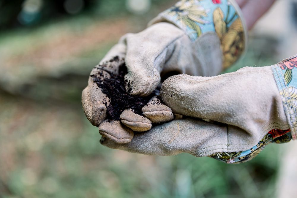 Wholesale compost