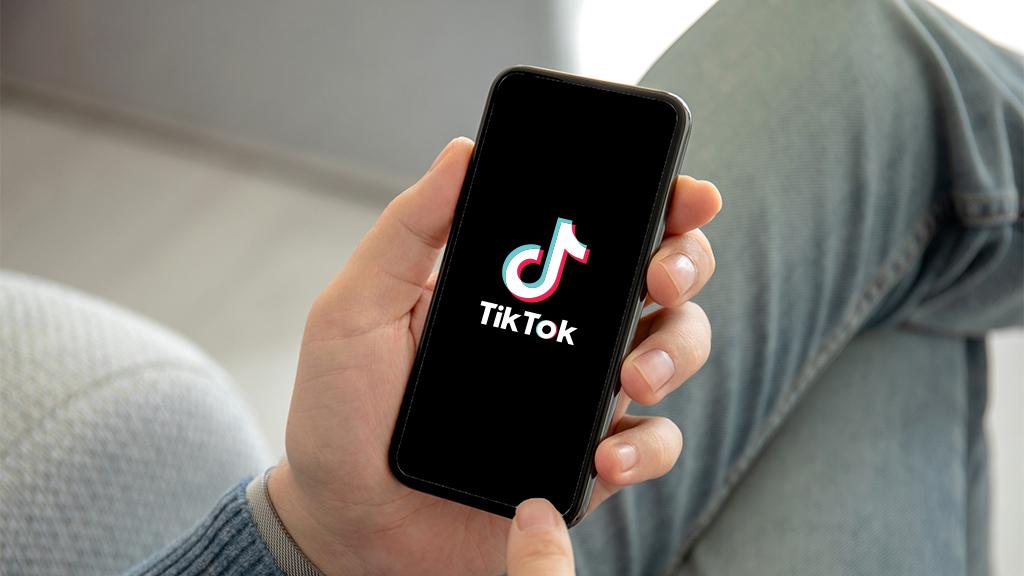 Tiktok Followers Counter