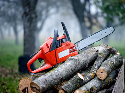Tree Surgeons