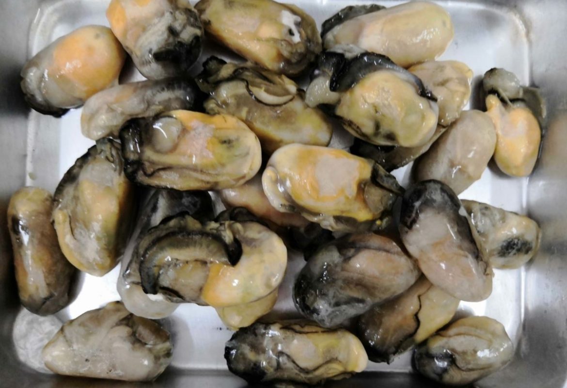 buy fresh oysters online